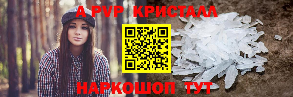 A PVP СК КРИС Советск