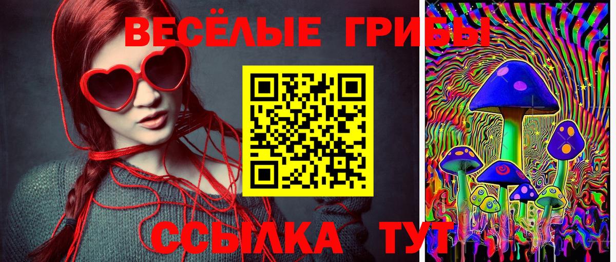 Псилоцибиновые грибы MAGIC MUSHROOMS  Вход с VPN  Советск  Псилоцибиновые грибы мухоморы 