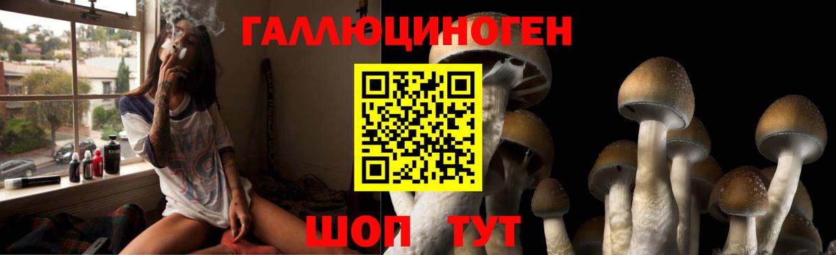 Псилоцибиновые грибы MAGIC MUSHROOMS Советск